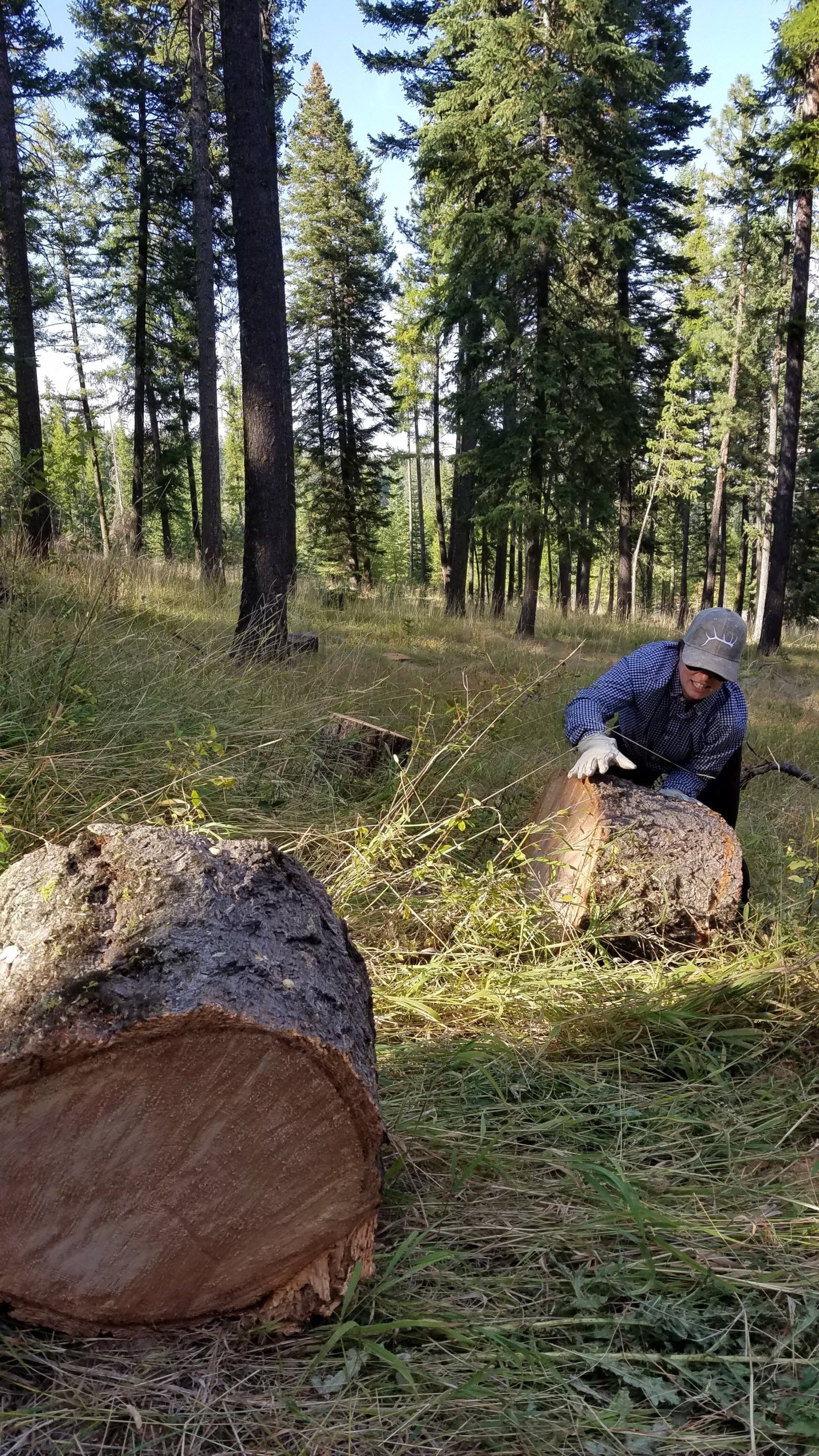 rolling log rounds for firewood